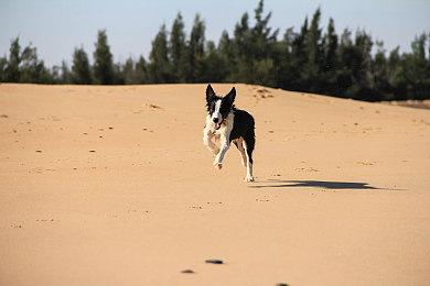 《铁拳8》首发角色名单疑似泄露 共有36人可选